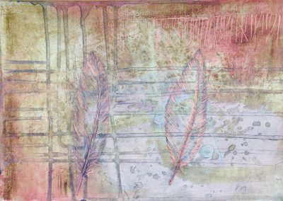 12525459_10153267615467344_7652823911346613505_o